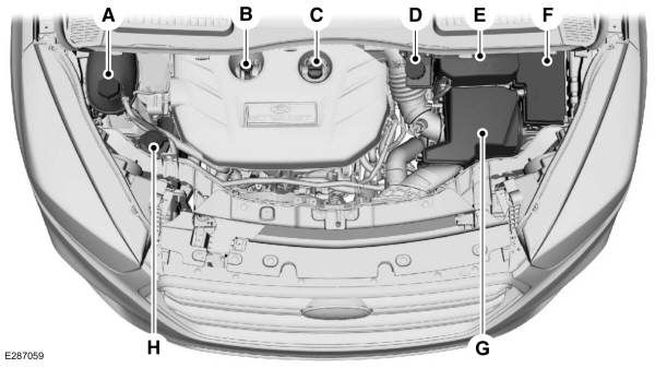 Vista geral debaixo do capot - 2.0L EcoBoost 