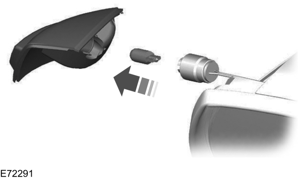 Pisca lateral