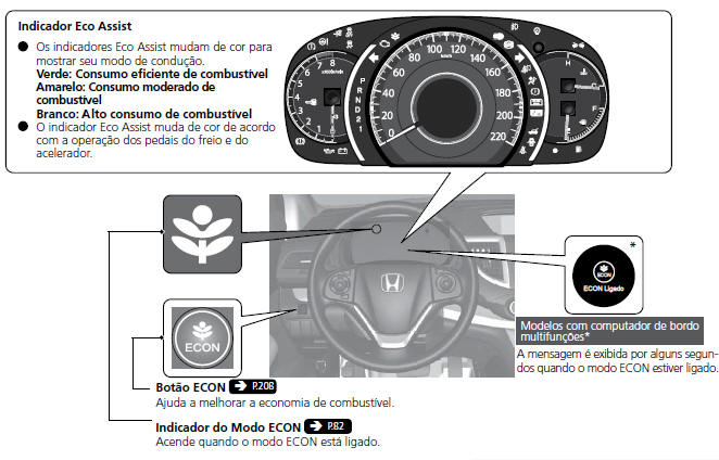 Sistema Eco Assist