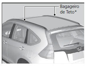 Bagageiro de Teto