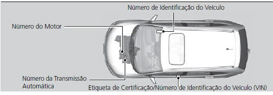 Números de Identificação