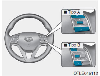 Visor LCD